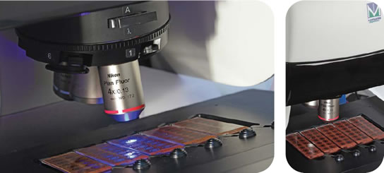 Zenit G-Sight Key Features: fluorescent microscope and LED light source